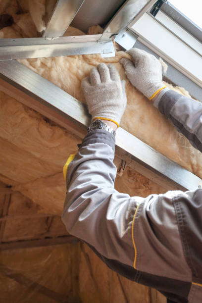 Best Spray Foam Insulation in Lincoln Park, NY