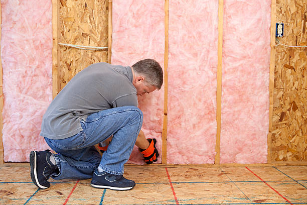 Best Energy Efficiency Insulation in Lincoln Park, NY