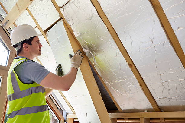 Best Eco-Friendly Insulation in Lincoln Park, NY