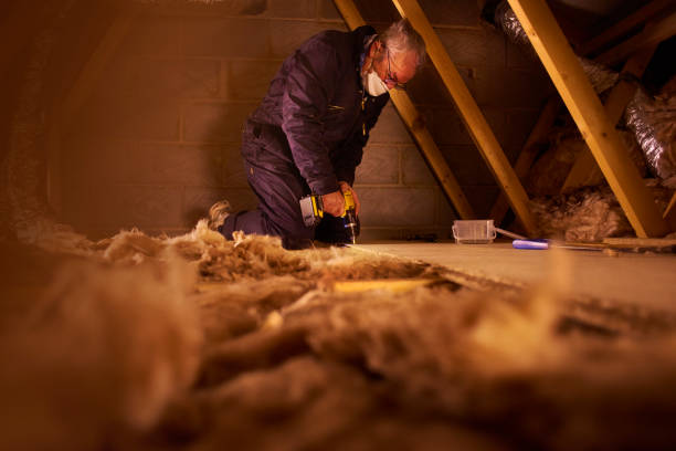 Types of Insulation We Offer in Lincoln Park, NY